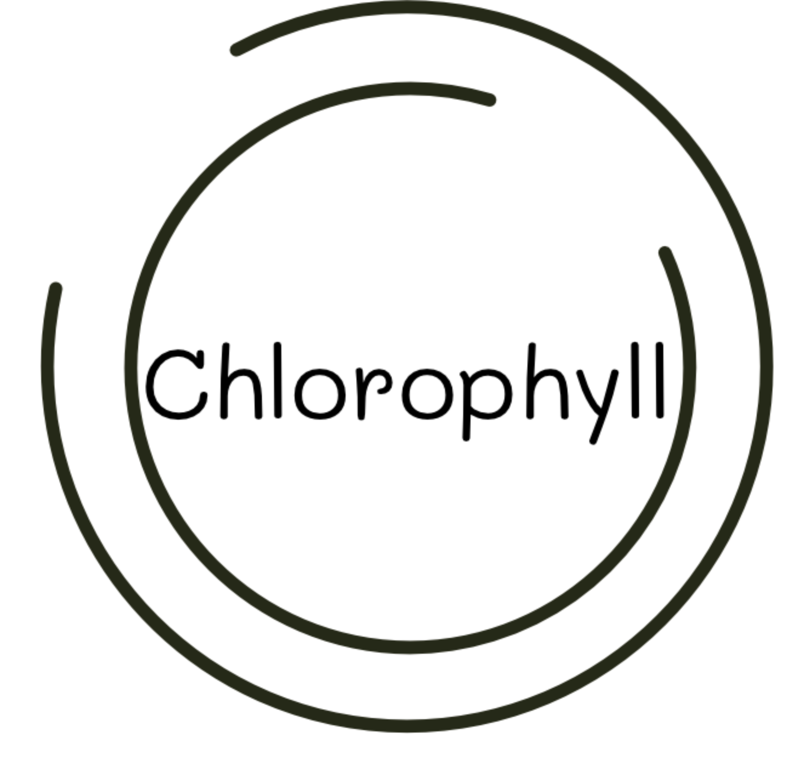 Gerstengraspulver mit Chlorophyll